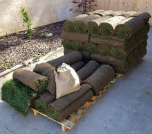 Load image into Gallery viewer, West Coaster Mow Free or No Mow Sod - Native Lawn Delivery
