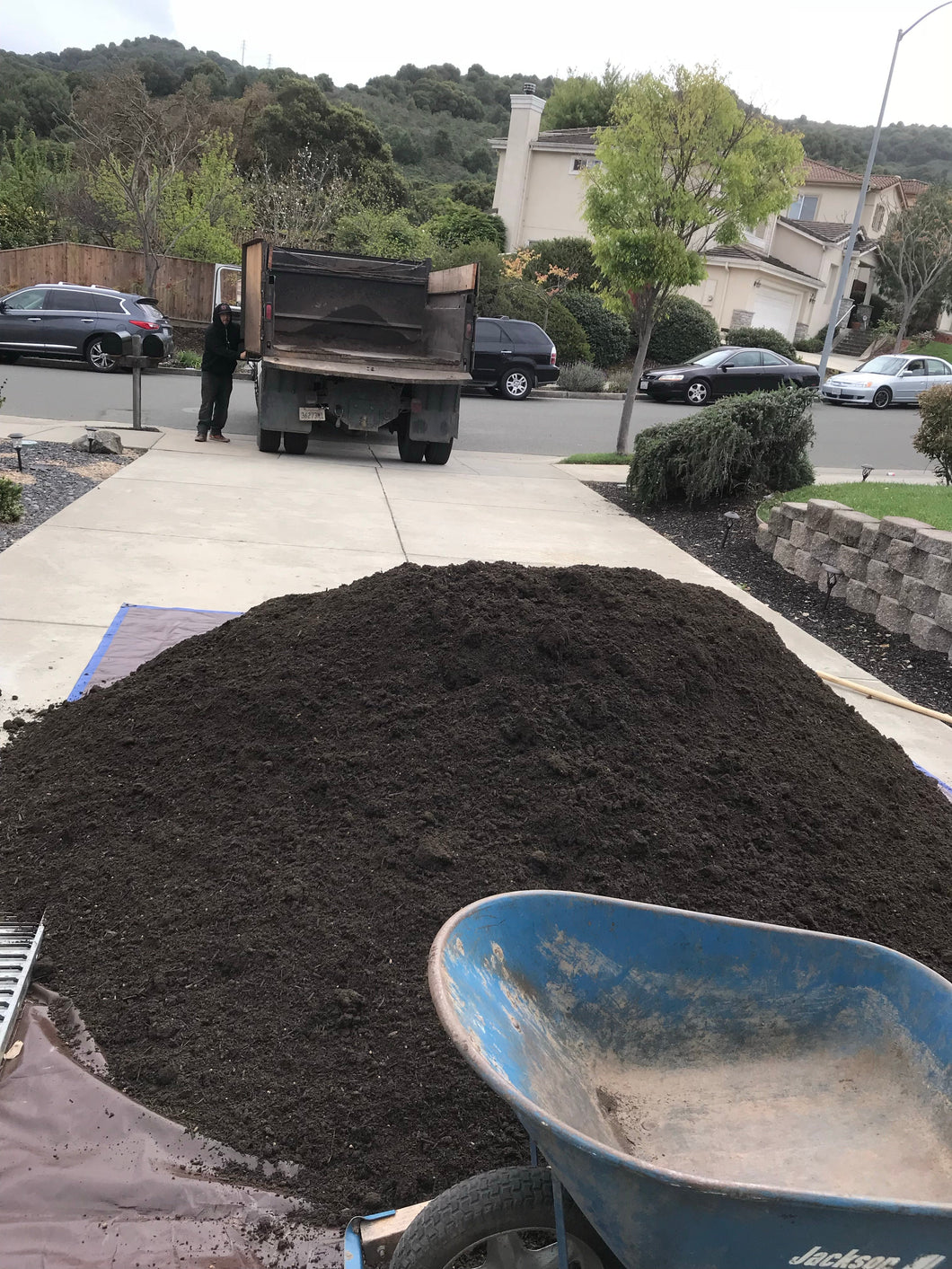 Topsoil for sod