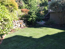 Load image into Gallery viewer, Delta Blue Rye - Bay Area Sod and Seed
