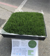 Load image into Gallery viewer, Ryegrass - Bay Area Sod and Seed
