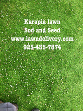 Load image into Gallery viewer, Kurapia delivery in California
