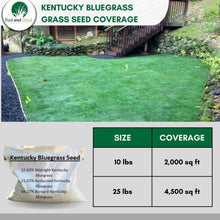 Load image into Gallery viewer, kentucky bluegrass grass seed
