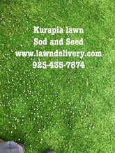 Load image into Gallery viewer, kurapia grass delivery
