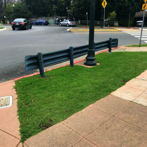 lippia ground cover in berkeley