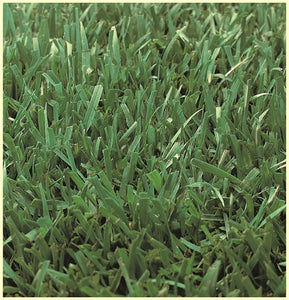 Medallion Dwarf Fescue with Bonsai Grass Seed - Native Lawn Delivery