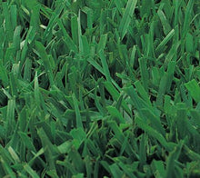 Load image into Gallery viewer, Medallion Tall Fescue Grass Seed - Native Lawn Delivery
