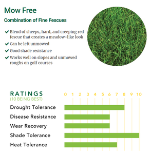 mow free grass seed ratings