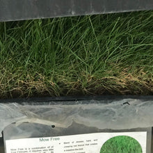 Load image into Gallery viewer, no mow fine fescue sod
