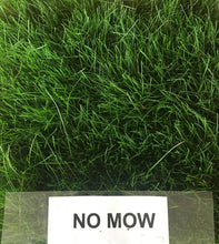 Load image into Gallery viewer, mow free sod also called no mow
