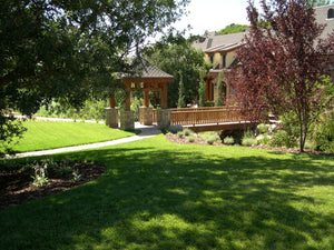 rtf sod lawn for shade