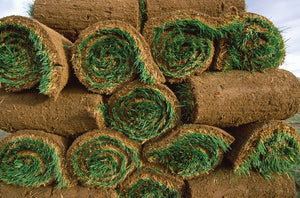 rtf sod rolls