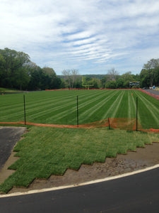 rtf sports turf