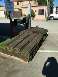 ryegrass sod delivery minimum order 200 sq ft