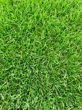 Load image into Gallery viewer, Ryegrass sod farm near me

