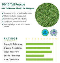 Load image into Gallery viewer, Tall Fescue Grass Seed 9010 - Native Lawn Delivery
